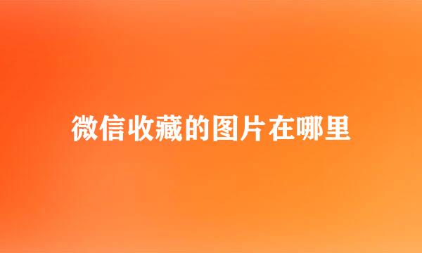 微信收藏的图片在哪里