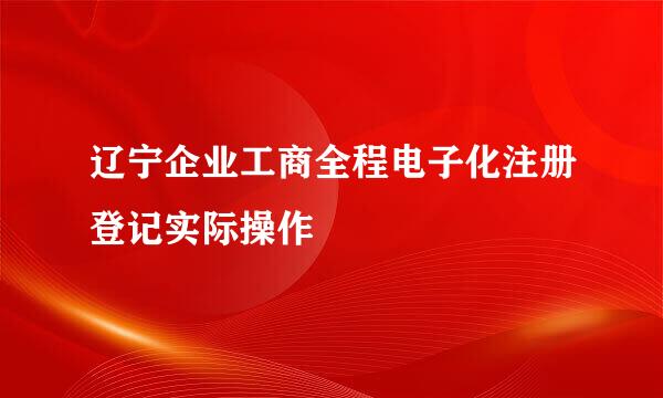 辽宁企业工商全程电子化注册登记实际操作
