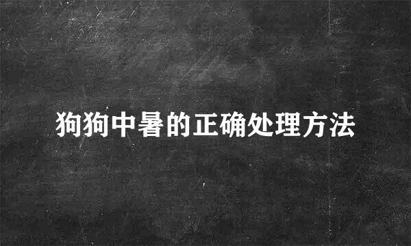 狗狗中暑的正确处理方法