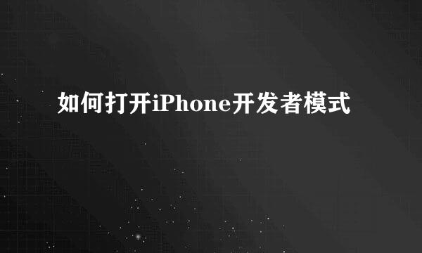 如何打开iPhone开发者模式