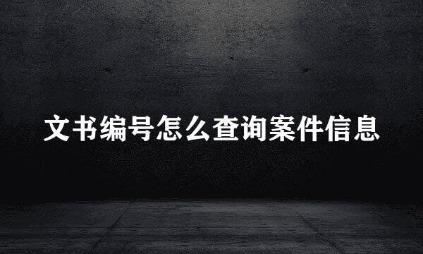 文书编号怎么查询案件信息