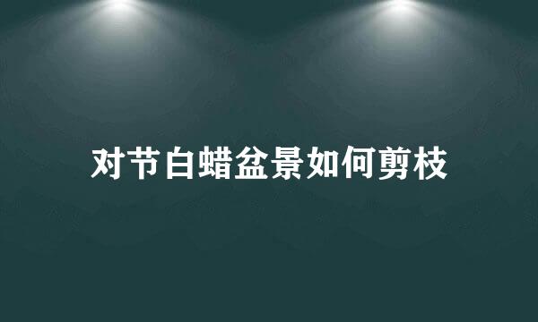 对节白蜡盆景如何剪枝