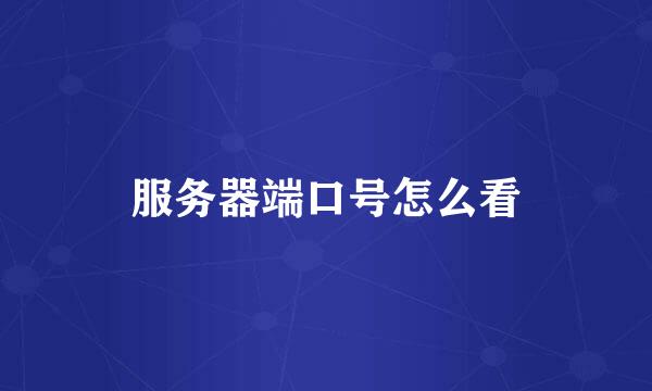服务器端口号怎么看