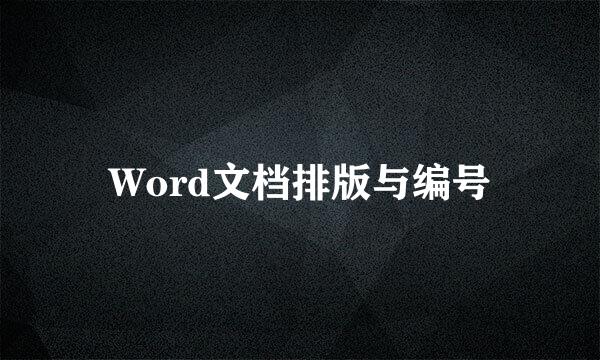 Word文档排版与编号