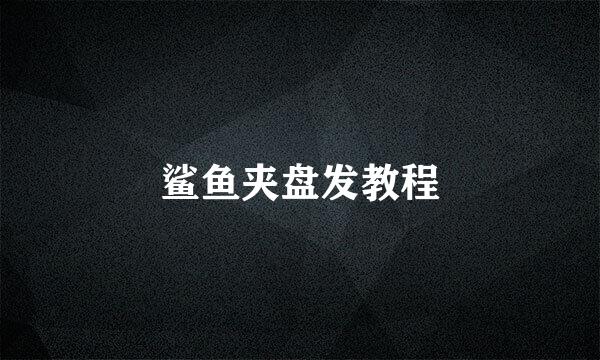鲨鱼夹盘发教程