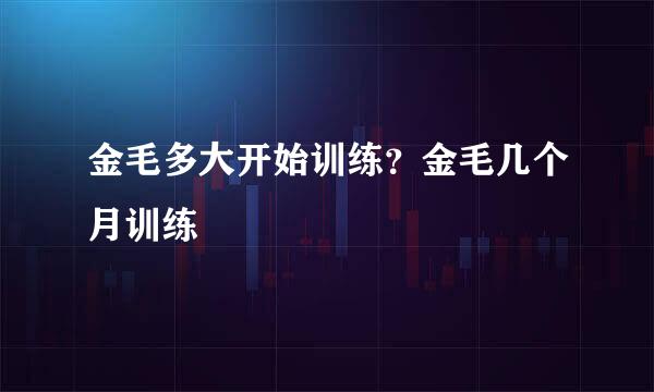 金毛多大开始训练？金毛几个月训练