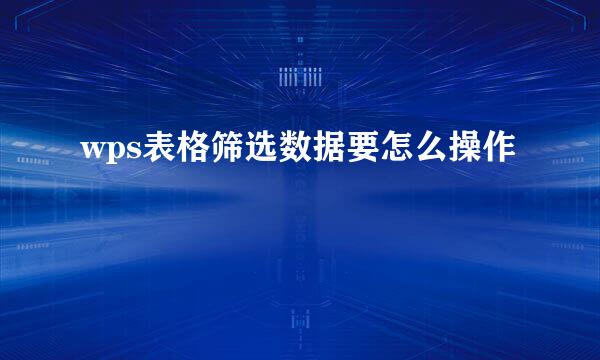 wps表格筛选数据要怎么操作
