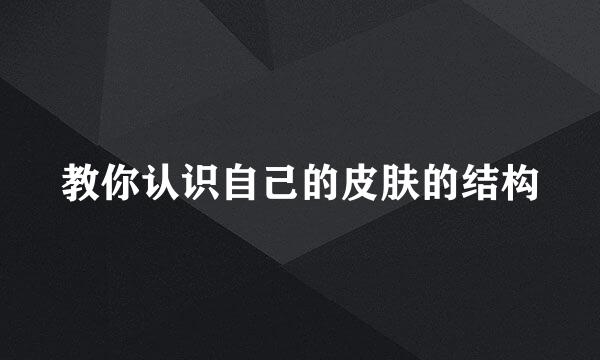 教你认识自己的皮肤的结构