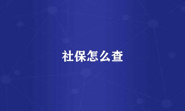 社保怎么查