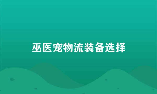 巫医宠物流装备选择