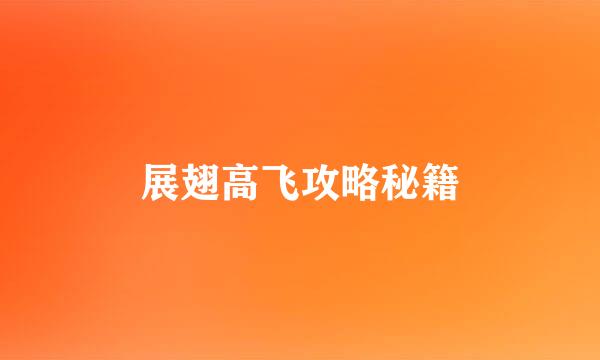 展翅高飞攻略秘籍