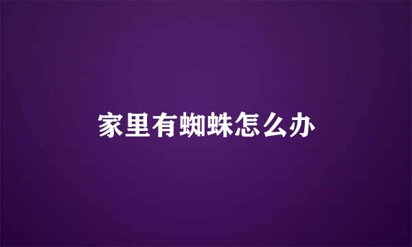 家里有蜘蛛怎么办