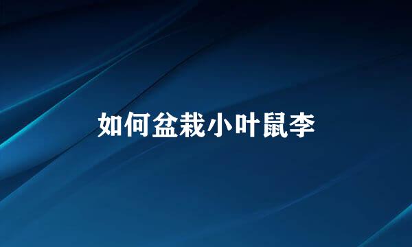 如何盆栽小叶鼠李
