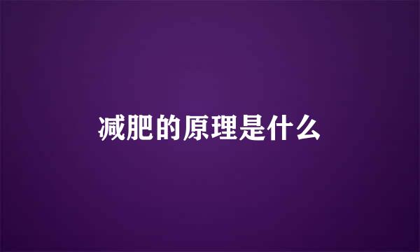 减肥的原理是什么