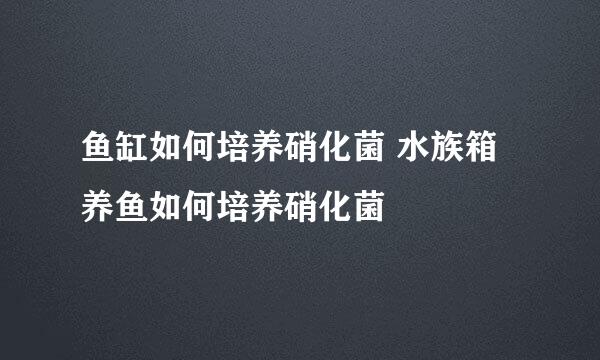 鱼缸如何培养硝化菌 水族箱养鱼如何培养硝化菌