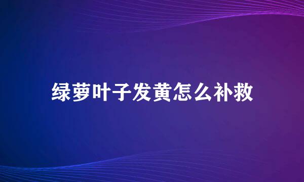 绿萝叶子发黄怎么补救