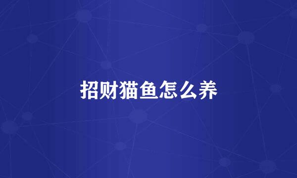 招财猫鱼怎么养