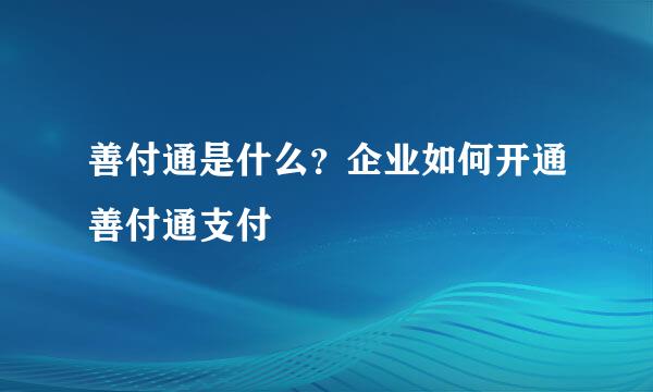善付通是什么？企业如何开通善付通支付