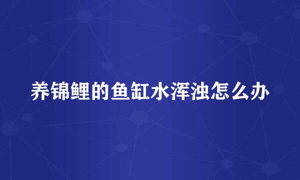 养锦鲤的鱼缸水浑浊怎么办