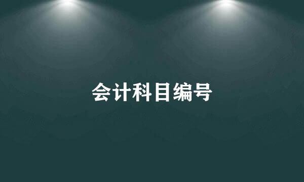 会计科目编号