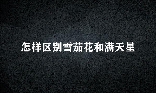 怎样区别雪茄花和满天星