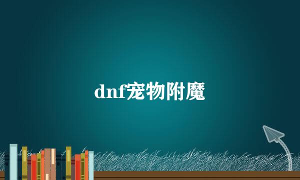 dnf宠物附魔