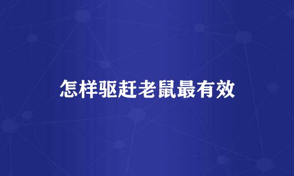 怎样驱赶老鼠最有效