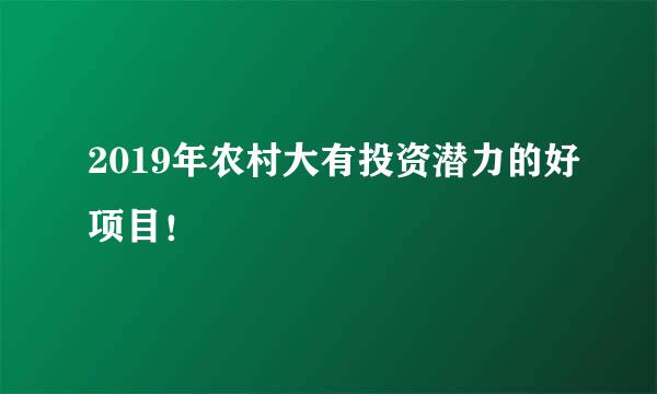 2019年农村大有投资潜力的好项目！