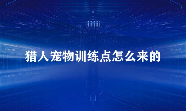 猎人宠物训练点怎么来的