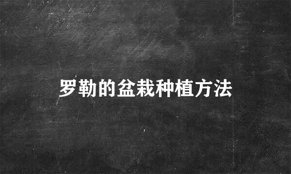 罗勒的盆栽种植方法