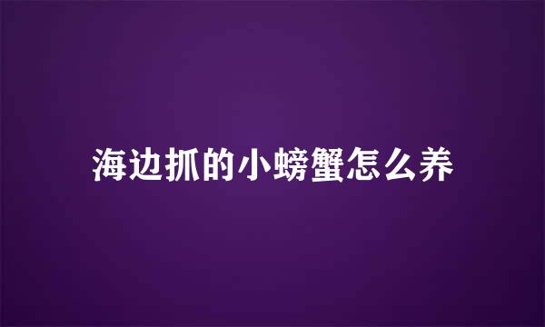 海边抓的小螃蟹怎么养