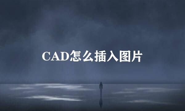 CAD怎么插入图片