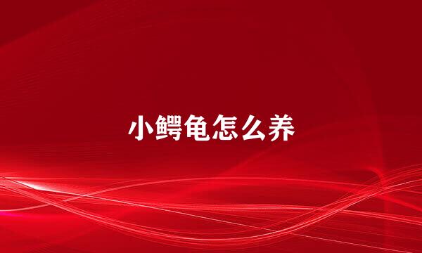 小鳄龟怎么养