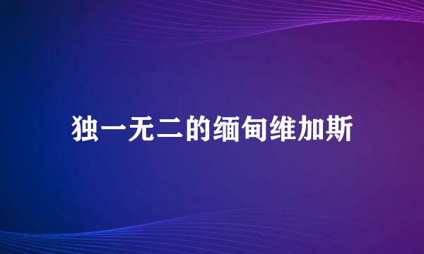 独一无二的缅甸维加斯