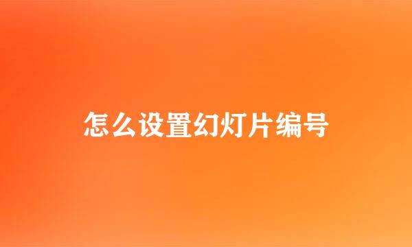 怎么设置幻灯片编号