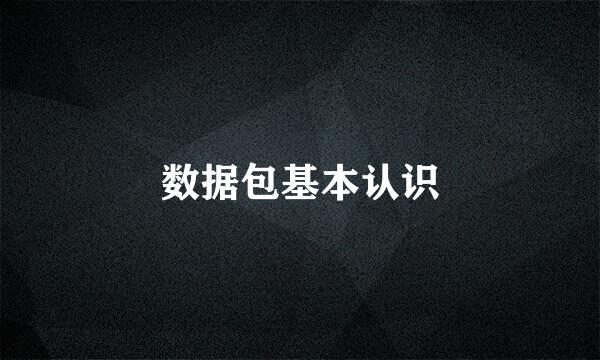 数据包基本认识
