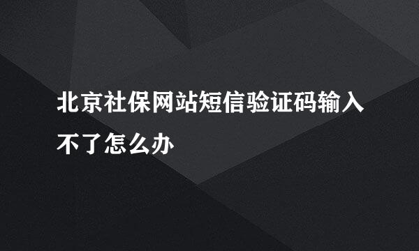 北京社保网站短信验证码输入不了怎么办