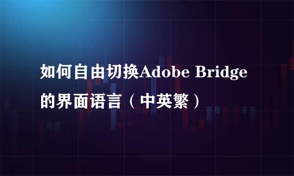 如何自由切换Adobe Bridge的界面语言（中英繁）