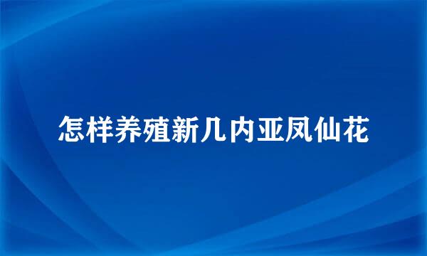 怎样养殖新几内亚凤仙花