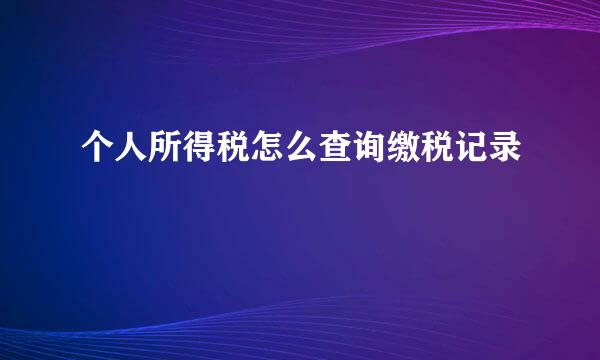 个人所得税怎么查询缴税记录