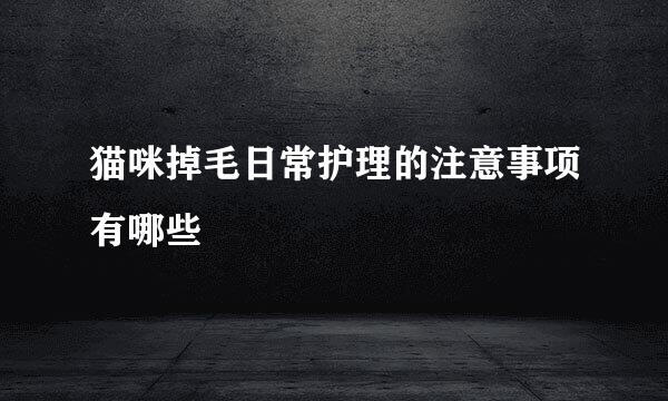 猫咪掉毛日常护理的注意事项有哪些