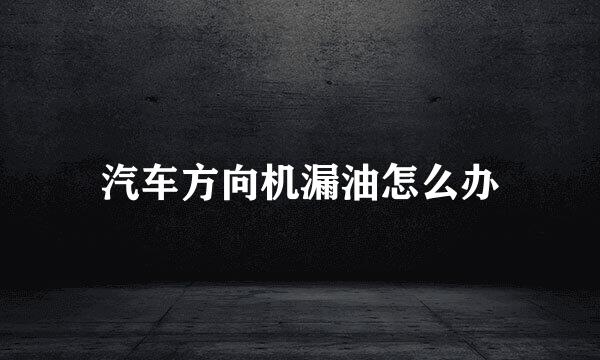 汽车方向机漏油怎么办