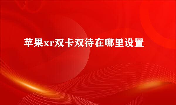 苹果xr双卡双待在哪里设置