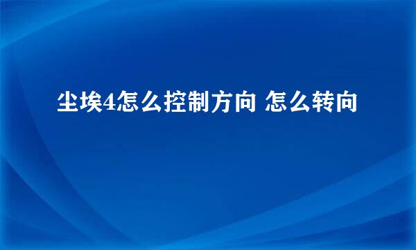 尘埃4怎么控制方向 怎么转向