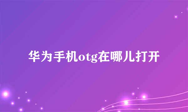 华为手机otg在哪儿打开