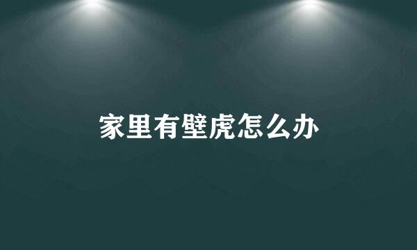 家里有壁虎怎么办