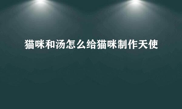 猫咪和汤怎么给猫咪制作天使