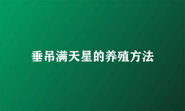 垂吊满天星的养殖方法