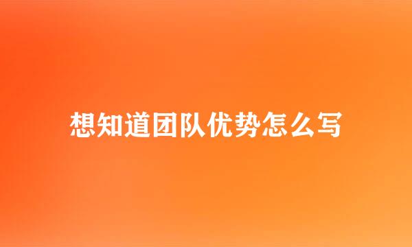 想知道团队优势怎么写