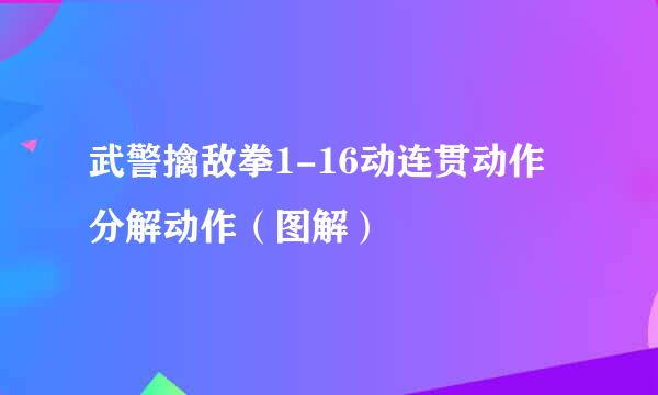 武警擒敌拳1-16动连贯动作 分解动作（图解）